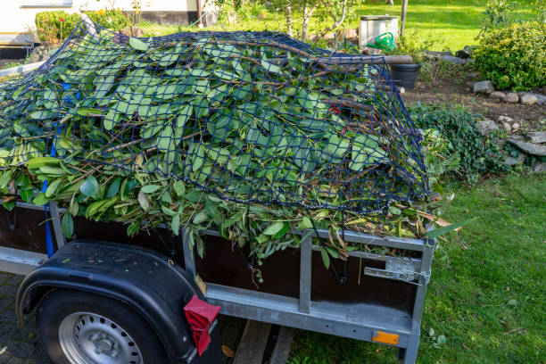 Professional Junk Removal Services in Fraser, MI